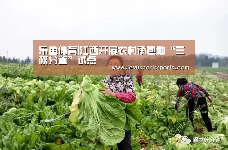 乐鱼体育|江西开展农村承包地“三权分置”试点(图2) 乐鱼体育入口