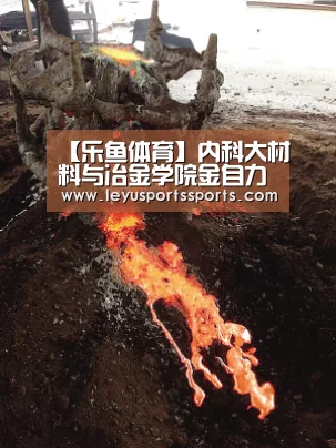 【乐鱼体育】内科大材料与冶金学院金自力教授荣获“包头市劳动模范”称号(图2) 乐鱼体育在线