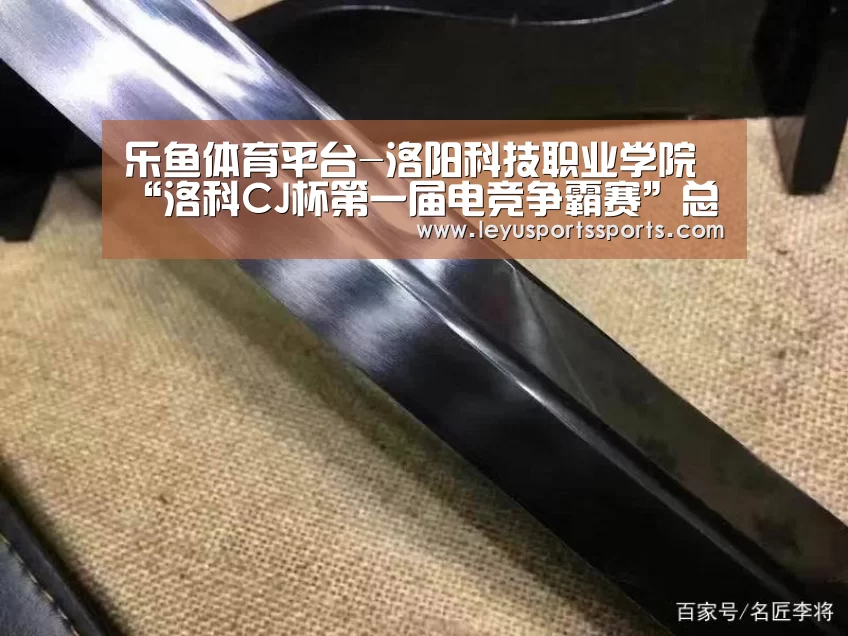 乐鱼体育平台-洛阳科技职业学院“洛科CJ杯第一届电竞争霸赛”总决赛圆满结束(图2) 乐鱼体育平台