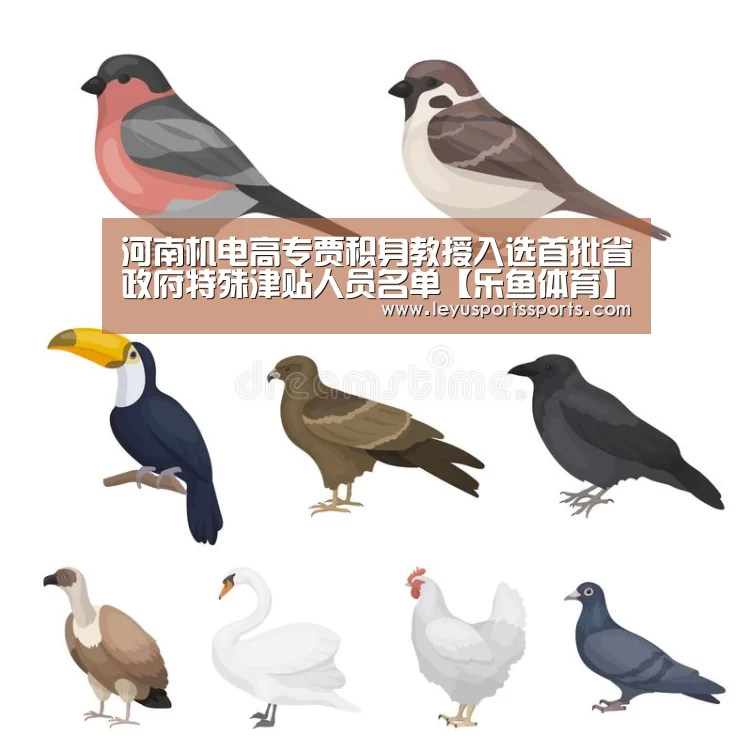 河南机电高专贾积身教授入选首批省政府特殊津贴人员名单【乐鱼体育】(图2) 乐鱼体育入口