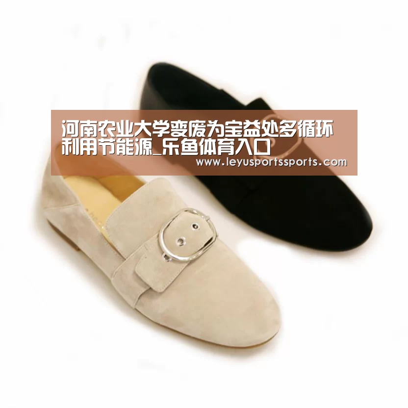乐鱼体育