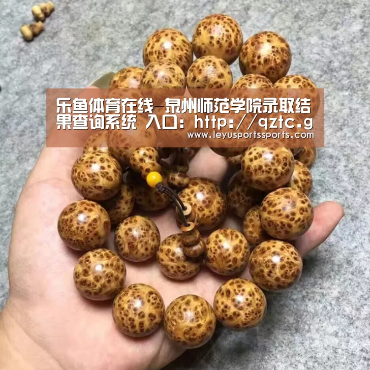 乐鱼体育在线-泉州师范学院录取结果查询系统 入口:http://qztc.good-edu.cn/search_zs.php(图1) 乐鱼体育在线
