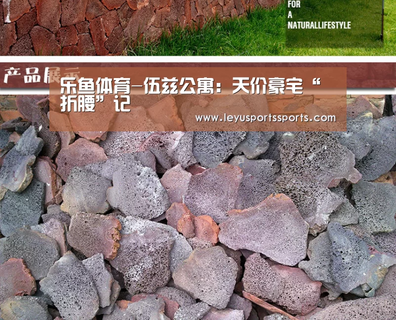 乐鱼体育-伍兹公寓:天价豪宅“折腰”记(图3) 乐鱼体育平台