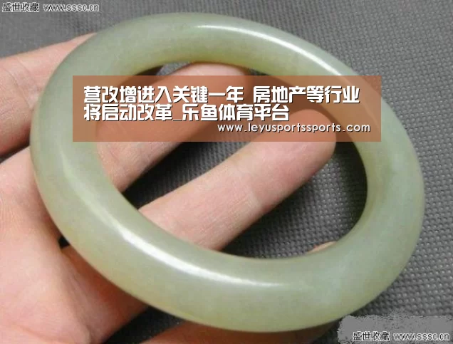 营改增进入关键一年 房地产等行业将启动改革_乐鱼体育平台(图4) 乐鱼体育入口