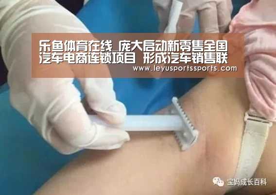 乐鱼体育在线_庞大启动新零售全国汽车电商连锁项目 形成汽车销售联盟(图1) 乐鱼体育平台
